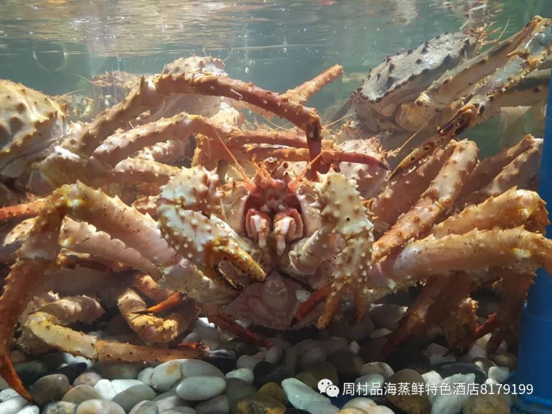 1529713706825716.jpg 6.jpg