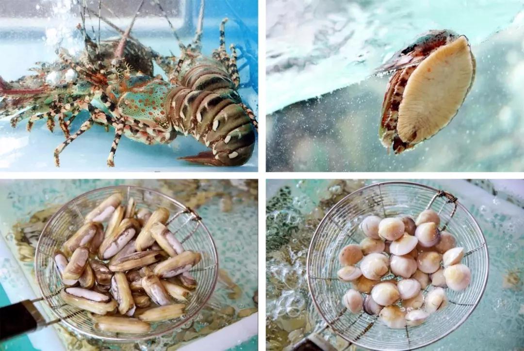 1531446348224007.jpg 7.jpg