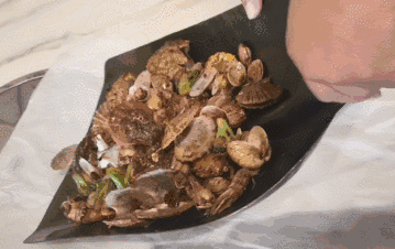 1531446576590325.gif 24.gif